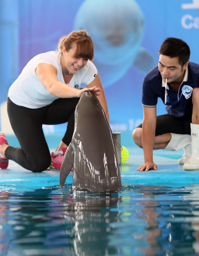 而对于菲尔 而对于菲尔